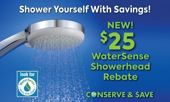 WaterSense Showerhead