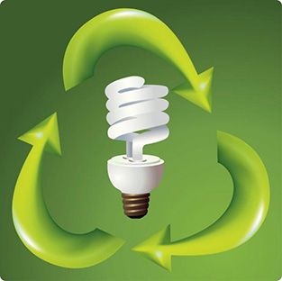 Recycling Compact Fluorescent Light Bulbs